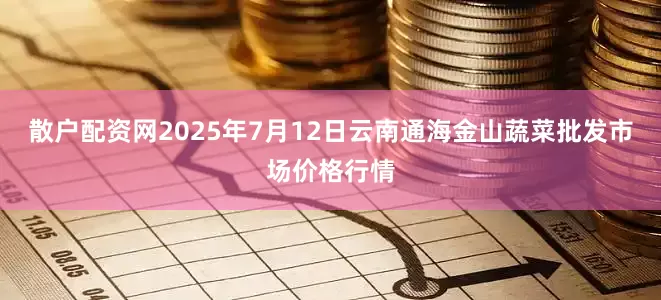 散户配资网2025年7月12日云南通海金山蔬菜批发市场价格行情