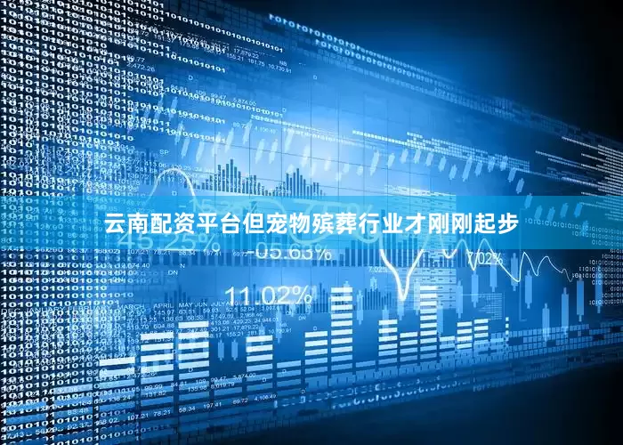 云南配资平台但宠物殡葬行业才刚刚起步